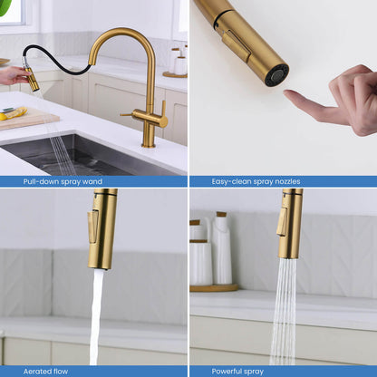Aquavit Orbit Two Handle Pull down Kitchen Faucet KF21111