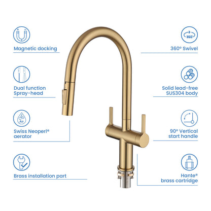 Aquavit Orbit Two Handle Pull down Kitchen Faucet KF21111