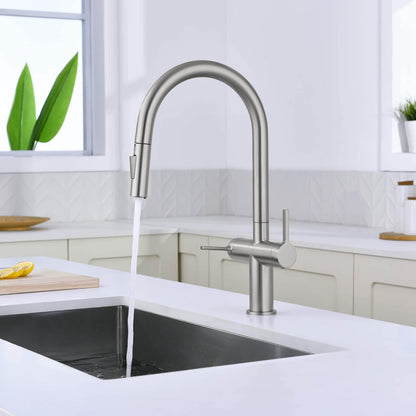 Aquavit Orbit Two Handle Pull down Kitchen Faucet KF21111
