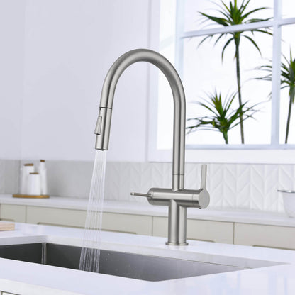 Aquavit Orbit Two Handle Pull down Kitchen Faucet KF21111