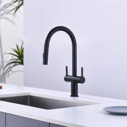 Aquavit Orbit Two Handle Pull down Kitchen Faucet KF21111