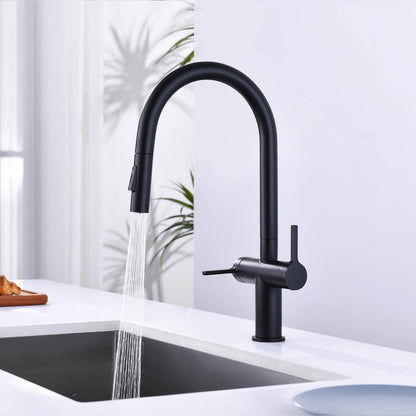 Aquavit Orbit Two Handle Pull down Kitchen Faucet KF21111