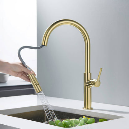 Aquavit Single Handle Pull-Down Kitchen Faucet with Dual-Function Spray Head KF22102