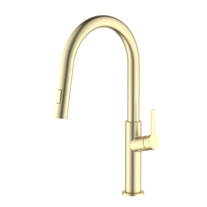 Aquavit Single Handle Pull-Down Kitchen Faucet with Dual-Function Spray Head KF22102