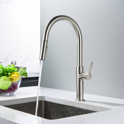 Aquavit Single Handle Pull-Down Kitchen Faucet with Dual-Function Spray Head KF22102