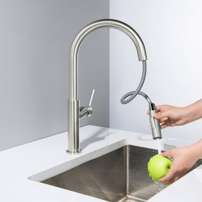 Aquavit Single Handle Pull-Down Kitchen Faucet with Dual-Function Spray Head KF22102