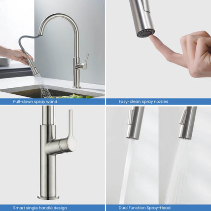 Aquavit Single Handle Pull-Down Kitchen Faucet with Dual-Function Spray Head KF22102