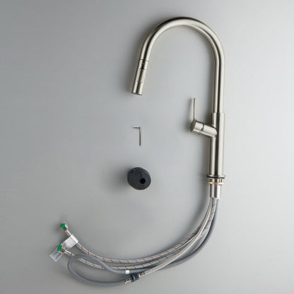 Aquavit Single Handle Pull-Down Kitchen Faucet with Dual-Function Spray Head KF22102
