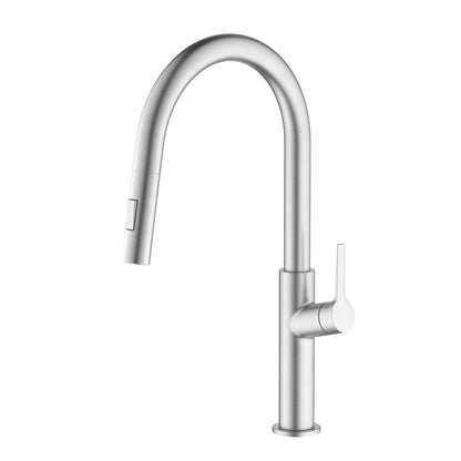 Aquavit Single Handle Pull-Down Kitchen Faucet with Dual-Function Spray Head KF22102