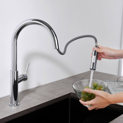 Aquavit Single Handle Pull-Down Kitchen Faucet with Dual-Function Spray Head KF22102