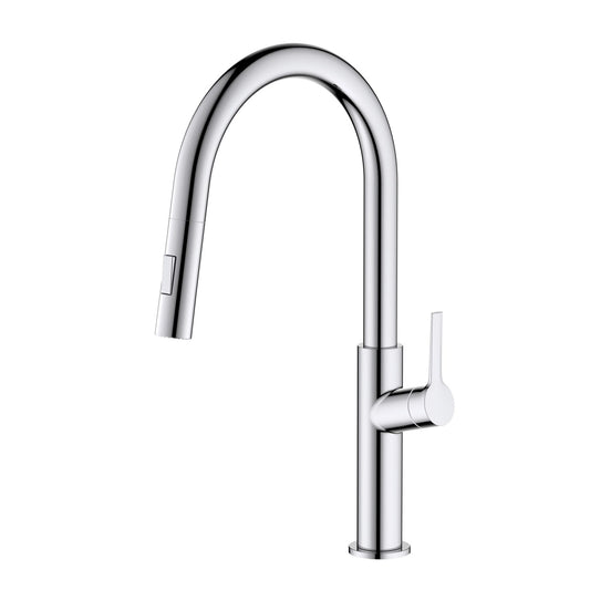Aquavit Single Handle Pull-Down Kitchen Faucet with Dual-Function Spray Head KF22102