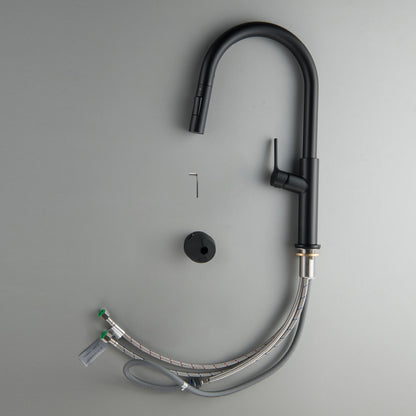 Aquavit Single Handle Pull-Down Kitchen Faucet with Dual-Function Spray Head KF22102