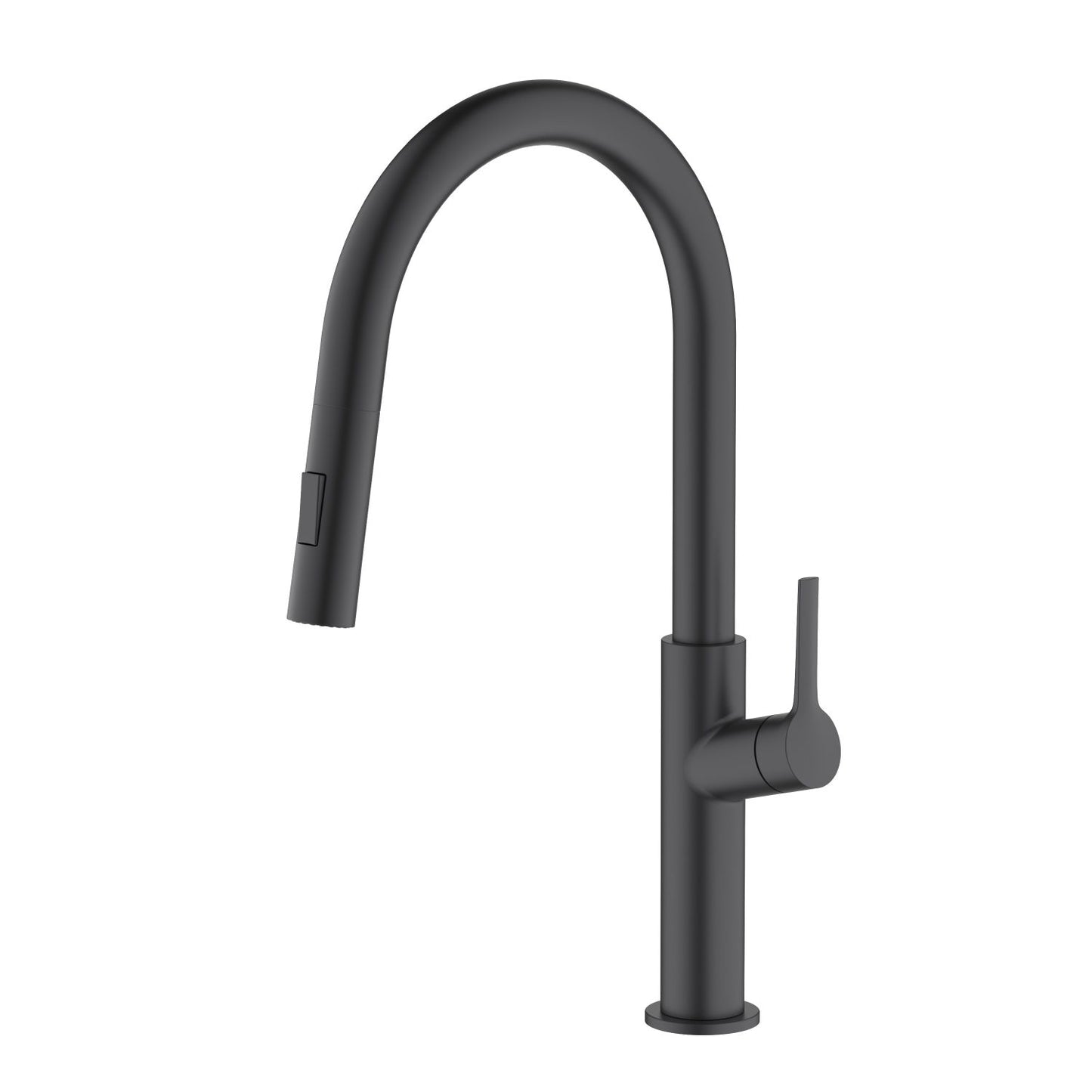 Aquavit Single Handle Pull-Down Kitchen Faucet with Dual-Function Spray Head KF22102