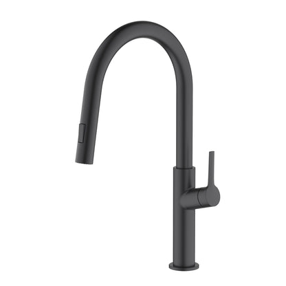 Aquavit Single Handle Pull-Down Kitchen Faucet with Dual-Function Spray Head KF22102