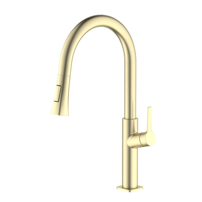 Aquavit Tilt Single Handle Pull-Down Kitchen Faucet  KF22103