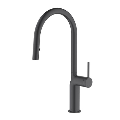 Aquavit Single Hole Kitchen Faucet with Dual-Function Spray Head KF22105