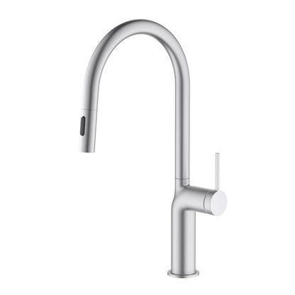 Tilt Single Hole Kitchen Faucet with Dual-Function Spray Head KF22106