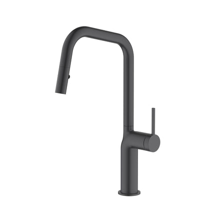 Single Handle Pull-Down Kitchen Faucet with Dual Spray KF22107