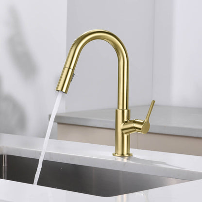 Aquavit Tilt Single handle Pull down Kitchen Faucet KF22111