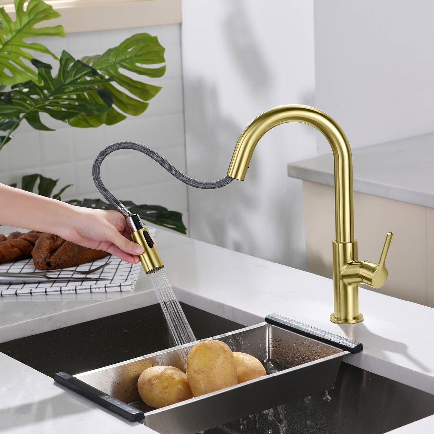 Aquavit Tilt Single handle Pull down Kitchen Faucet KF22111