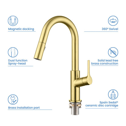 Aquavit Tilt Single handle Pull down Kitchen Faucet KF22111