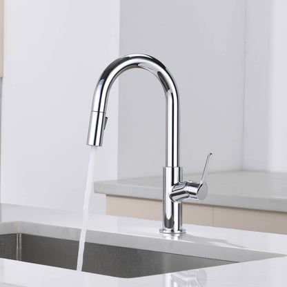 Aquavit Tilt Single handle Pull down Kitchen Faucet KF22111