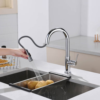 Aquavit Tilt Single handle Pull down Kitchen Faucet KF22111