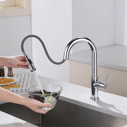 Aquavit Tilt Single handle Pull down Kitchen Faucet KF22111
