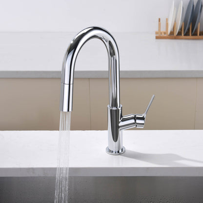 Aquavit Tilt Single handle Pull down Kitchen Faucet KF22111