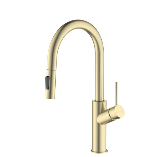 Aquavit Tilt Single handle Pull down Kitchen Faucet KF22112