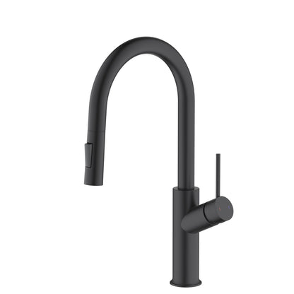 Aquavit Tilt Single handle Pull down Kitchen Faucet KF22112