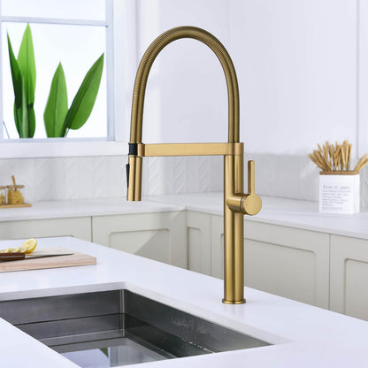 Aquavit Verte Single handle kitchen faucet with Pull out spring KF23201