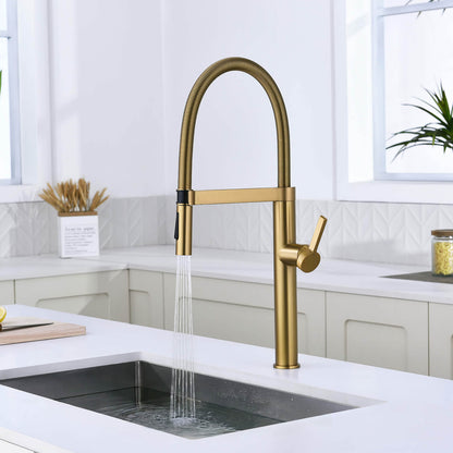 Aquavit Verte Single handle kitchen faucet with Pull out spring KF23201
