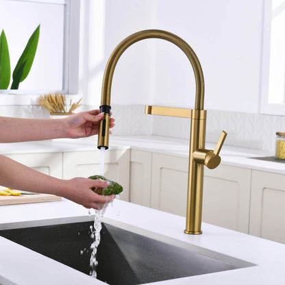 Aquavit Verte Single handle kitchen faucet with Pull out spring KF23201