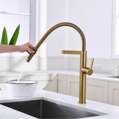 Aquavit Verte Single handle kitchen faucet with Pull out spring KF23201