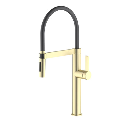 Aquavit Verte Single handle kitchen faucet with Pull out Black hose KF23202