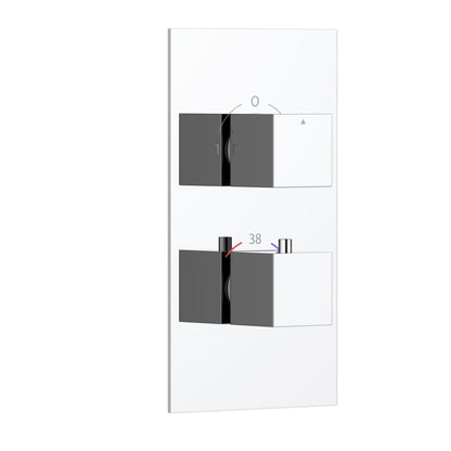 2-Control Thermostatic Shower Valve Trim Kit with SUS304 Plate and Brass Handles PH0852X01