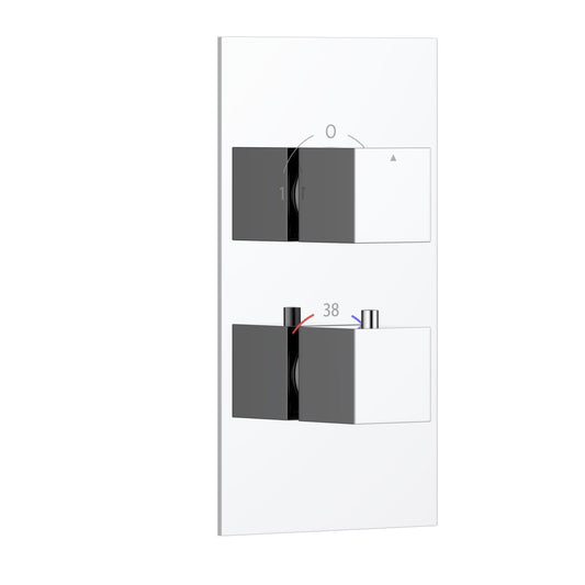 2-Control Thermostatic Shower Valve Trim Kit with SUS304 Plate and Brass Handles PH0852X01