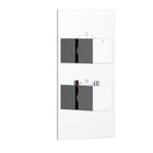 2-Control Thermostatic Shower Valve Trim Kit with SUS304 Plate and Brass Handles PH0852X01