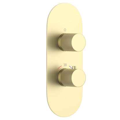 PH1052X01 two-control thermostatic shower valve trim kit