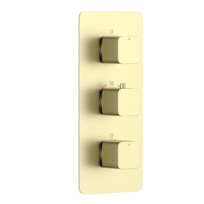 Thermostatic shower trim with center temperature control