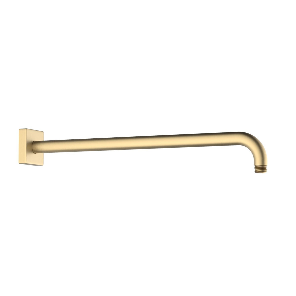 Aquavit brushed brass 400 mm SUS304 wall-mounted shower arm with flange SAS4007
