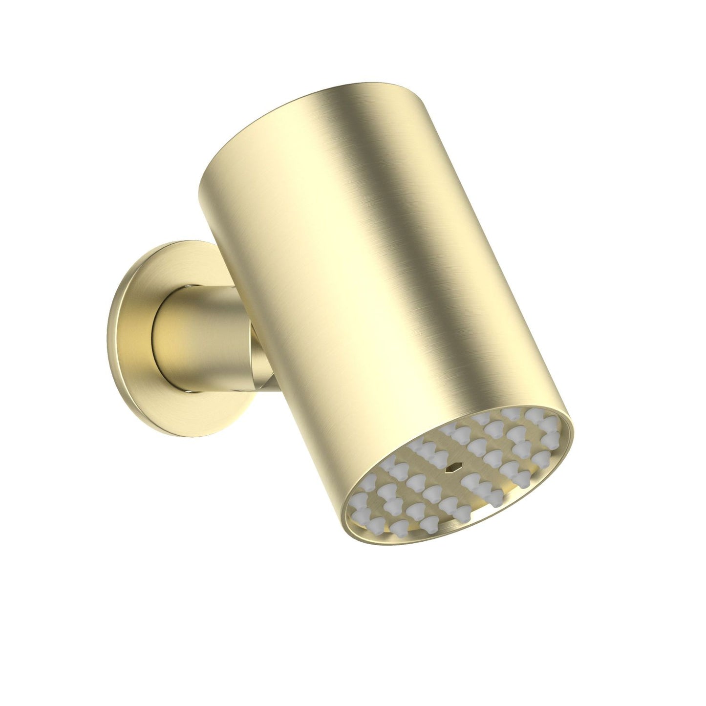 Aquavit Solid Brass Adjustable Wall-Mounted Rain Showerhead SHG0301