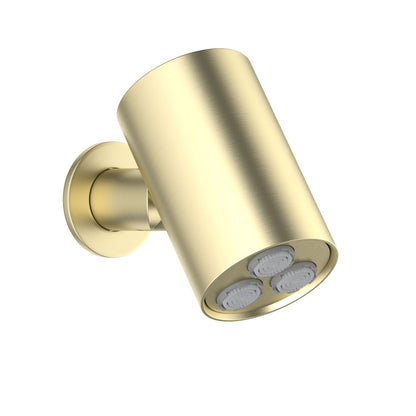 Adjustable Brass Wall Shower Head with Multi-Spray – AQUAVIT SHG0302