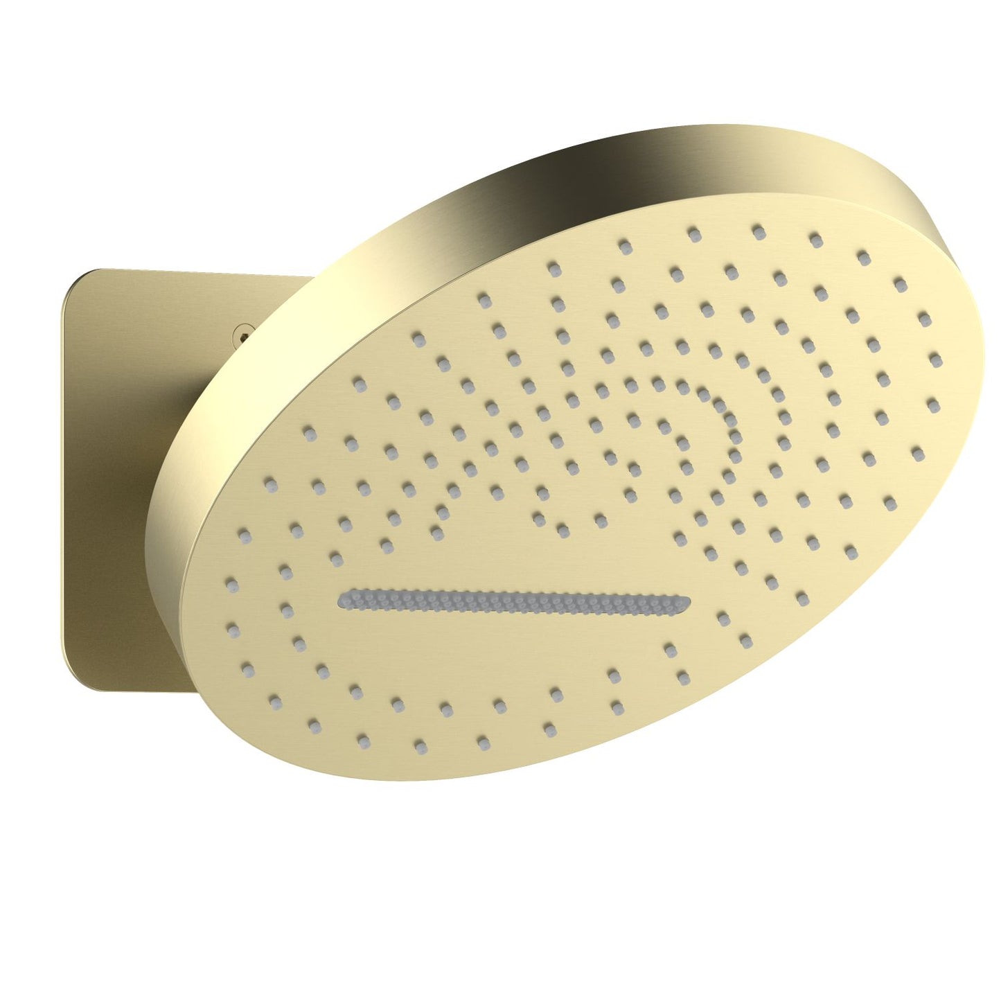 SUS304 2-Function Round Shower Head with Rain and Oscillating Spray SHG1202
