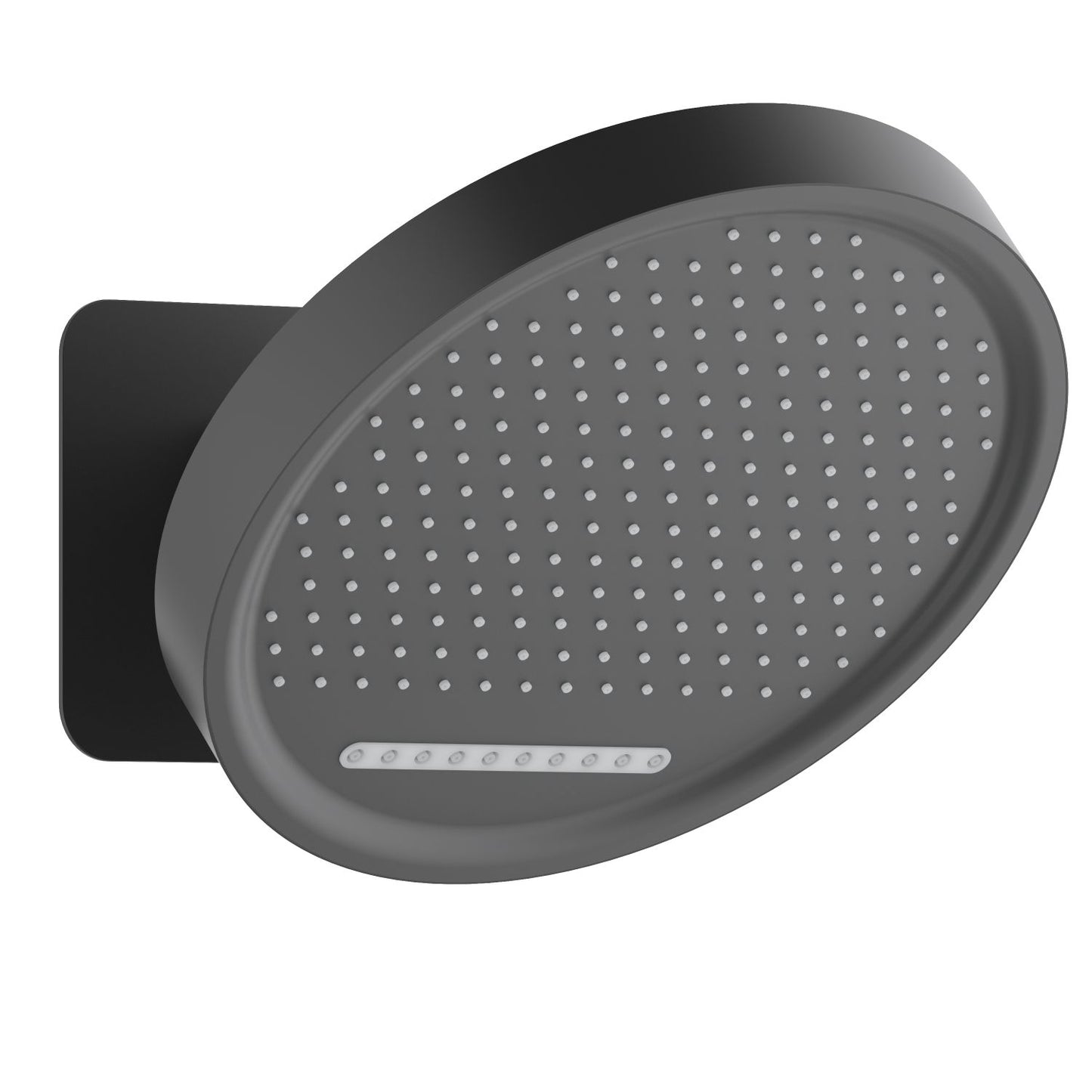 Stainless steel shower head with rain and moving spray functions