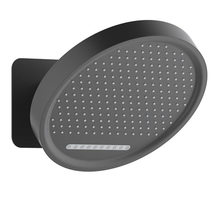 Stainless steel shower head with rain and moving spray functions
