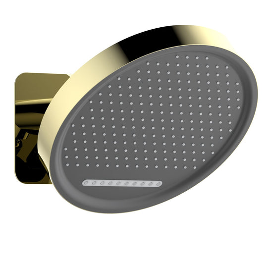 SHG1203 SUS304 round wall-mounted shower head