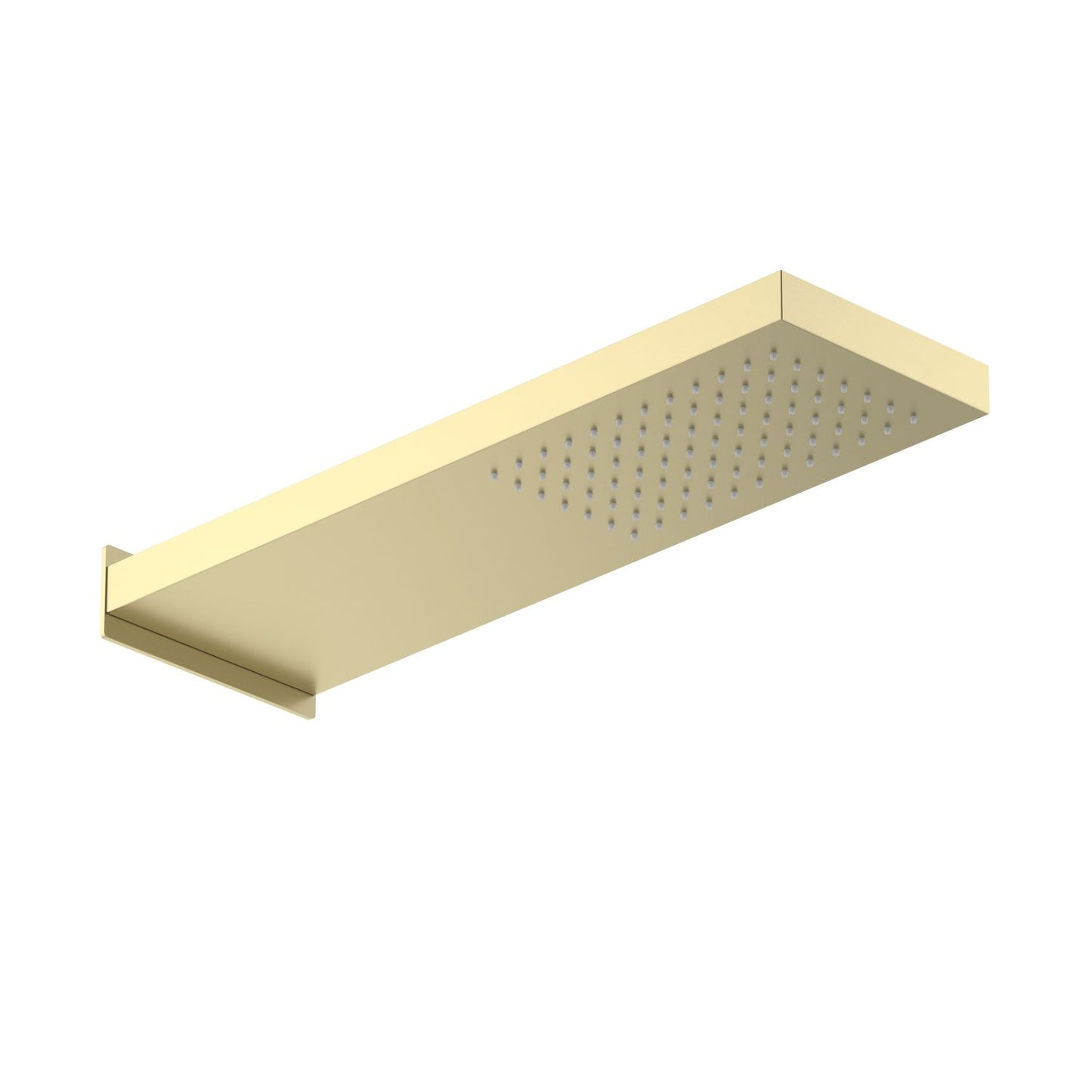 Wall mounted shower head SHG2201