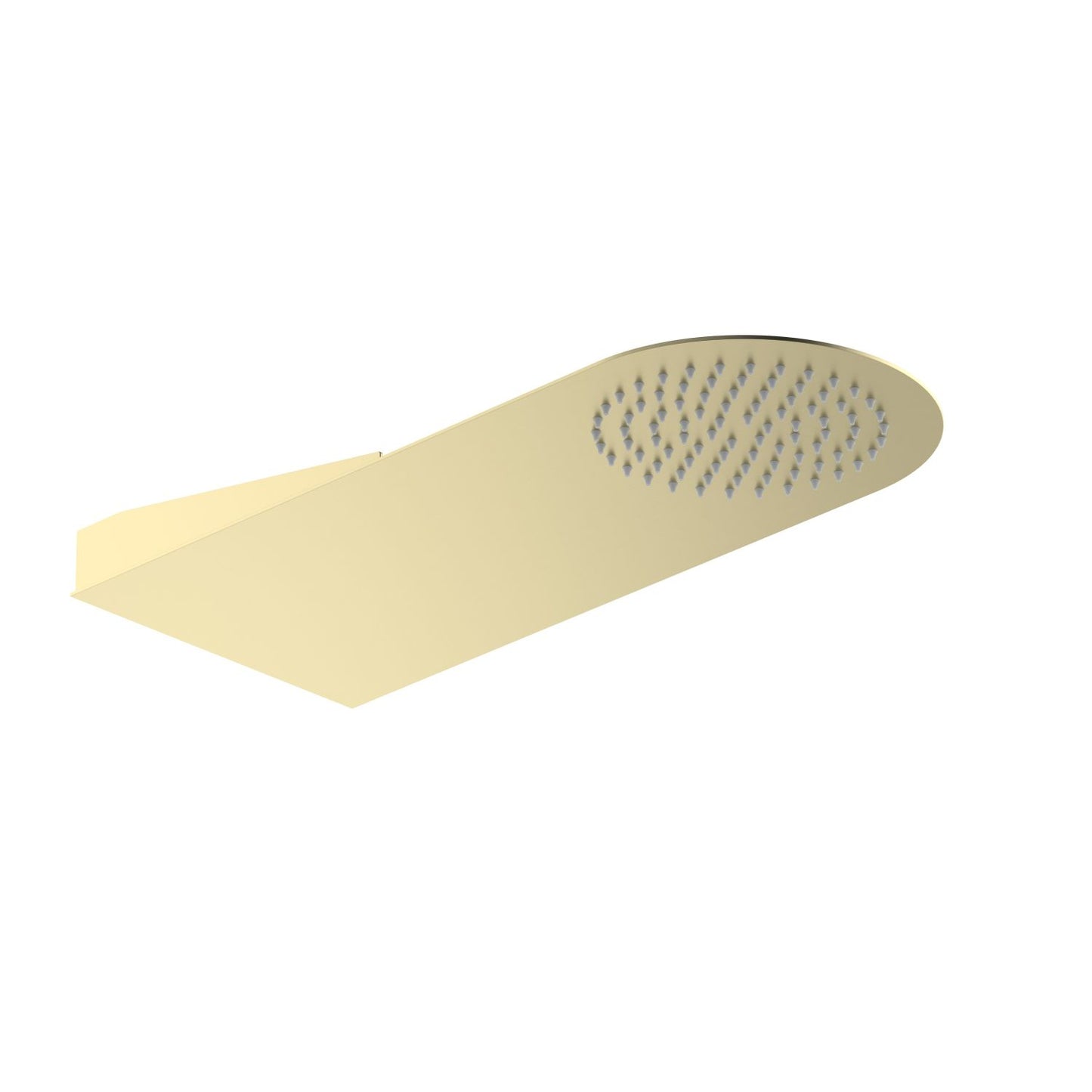 Wall mounted shower head SHG2205